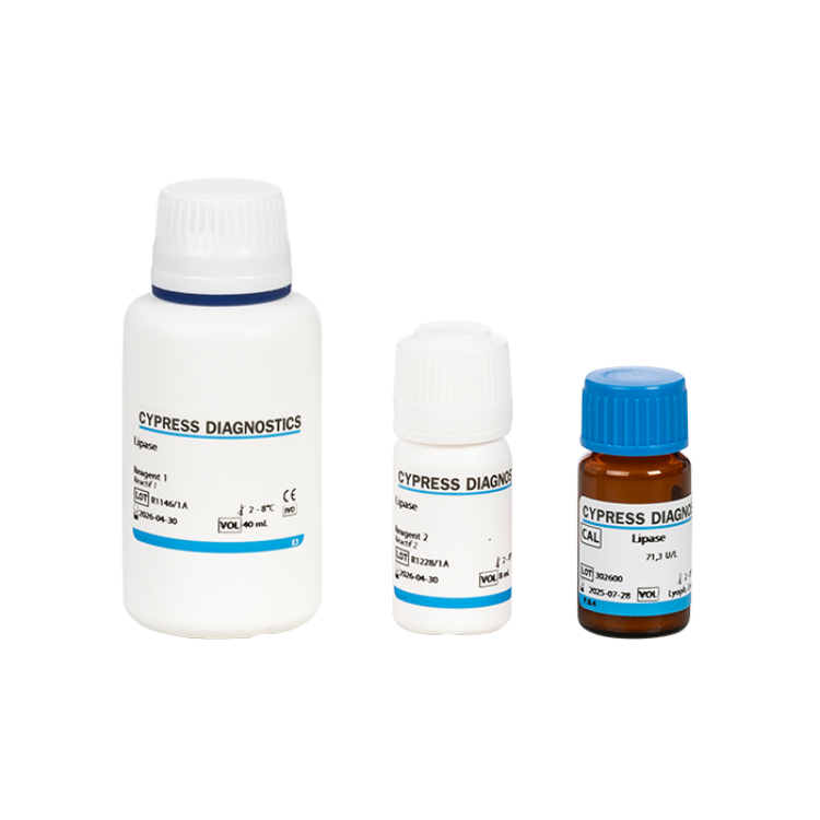 Lipase