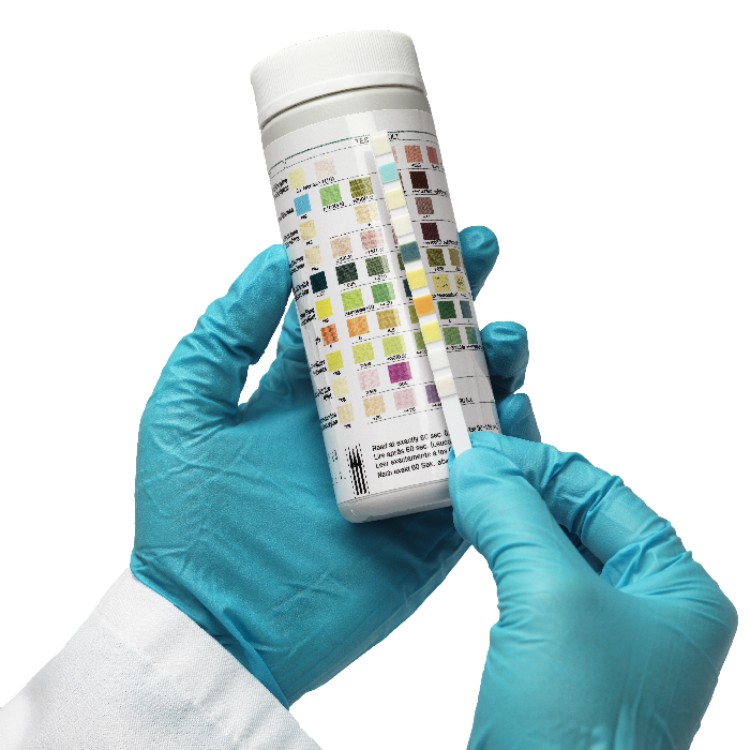 Urine-2GK